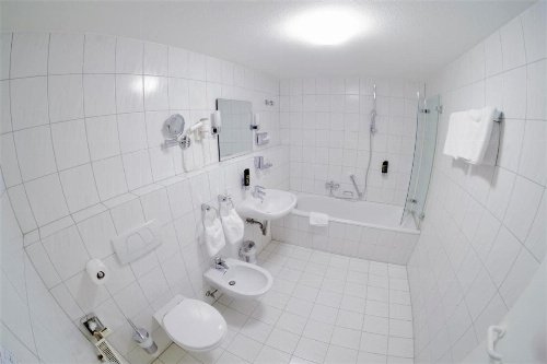 ALFA Hotel - Superior image 43
